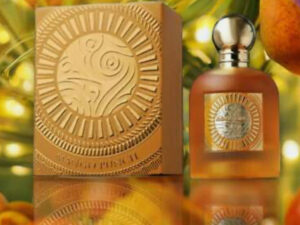 Mango punch by Paris Corner 100ml