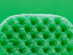 Lime, Basil & Mandarin Soap Sponge