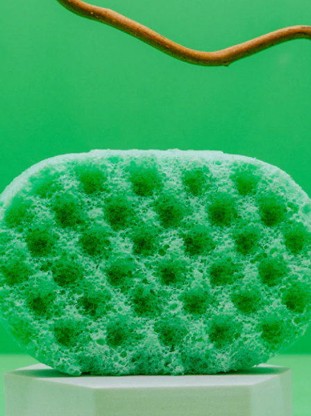 Lime, Basil & Mandarin Soap Sponge