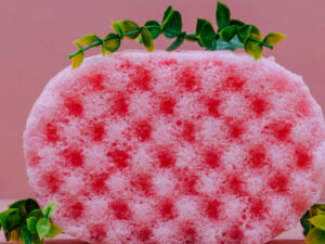 Marshmallow & Raspberry Soap Sponge